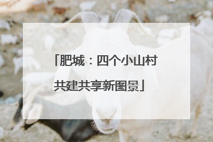 肥城：四个小山村共建共享新图景